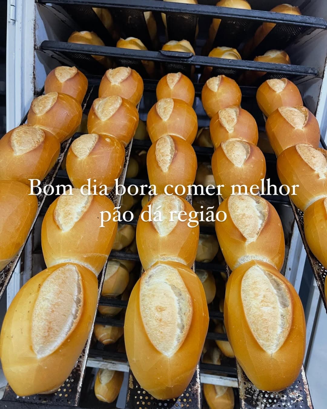 Pão francês quentinho saindo do forno